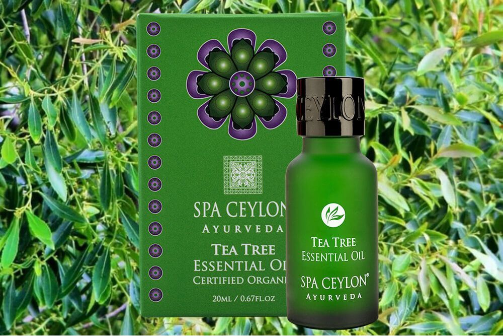 Arbatmedžio eterinis aliejus Tea Tree  (20 ml)